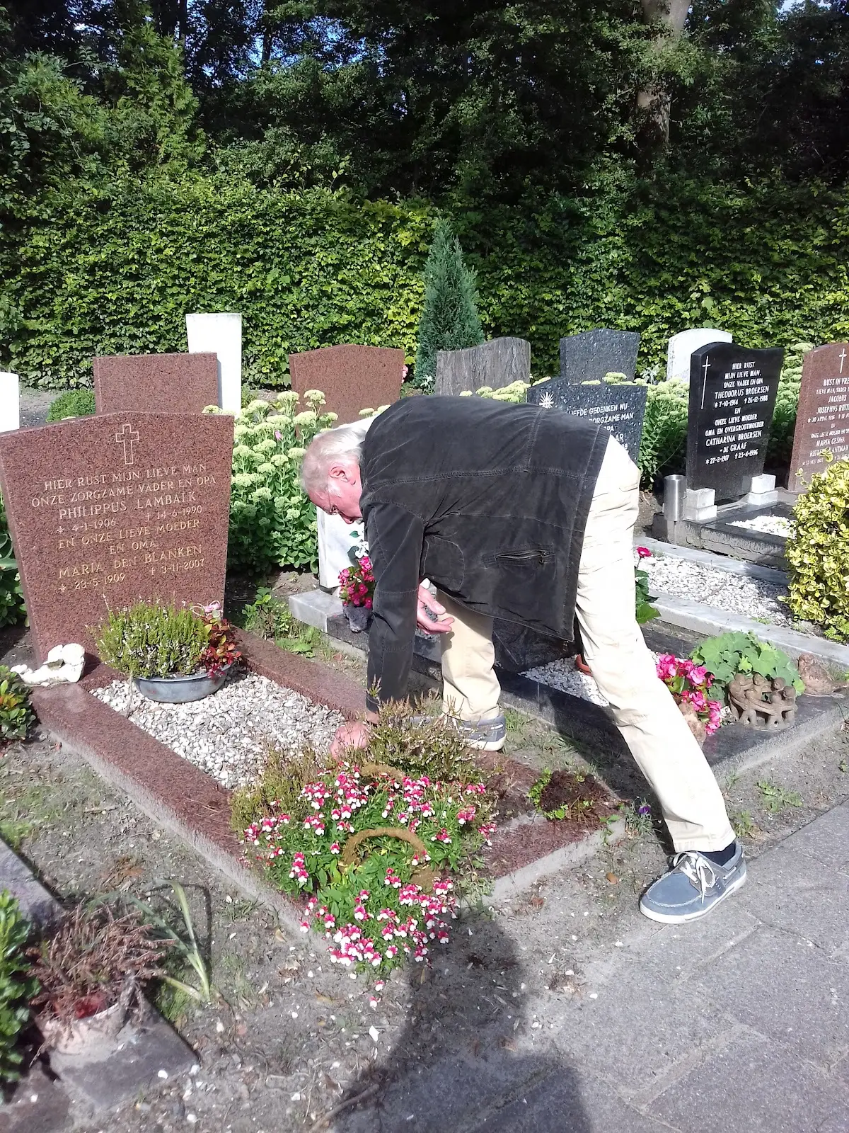 Martinus Parochie in 't Veld