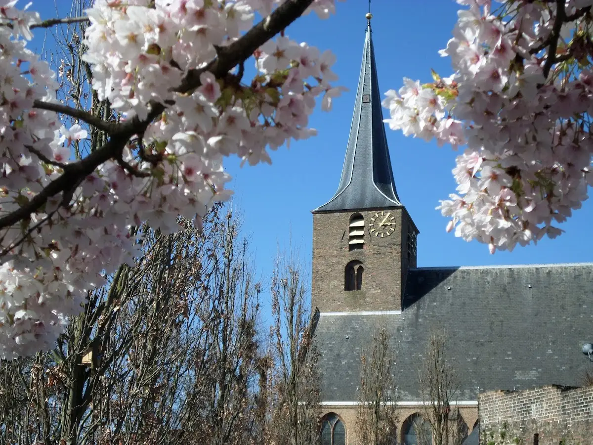 Foto van Begraafplaats Protestantse Gemeente Rotterdam
