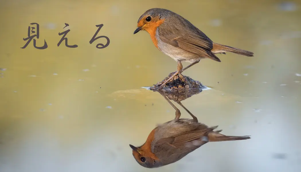 Foto van Joodse Begraafplaats Zeeburg