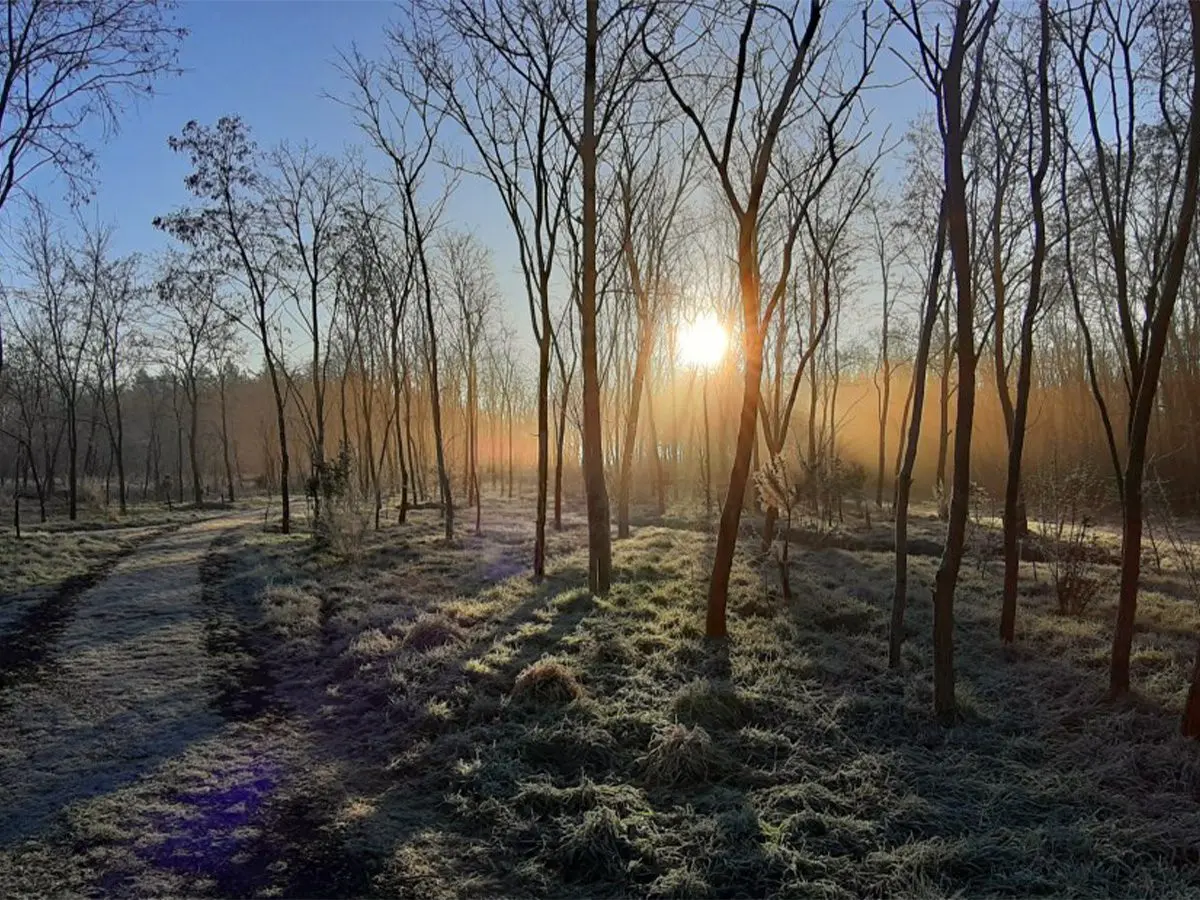 Foto van Natuerbegraafplak Fryslân