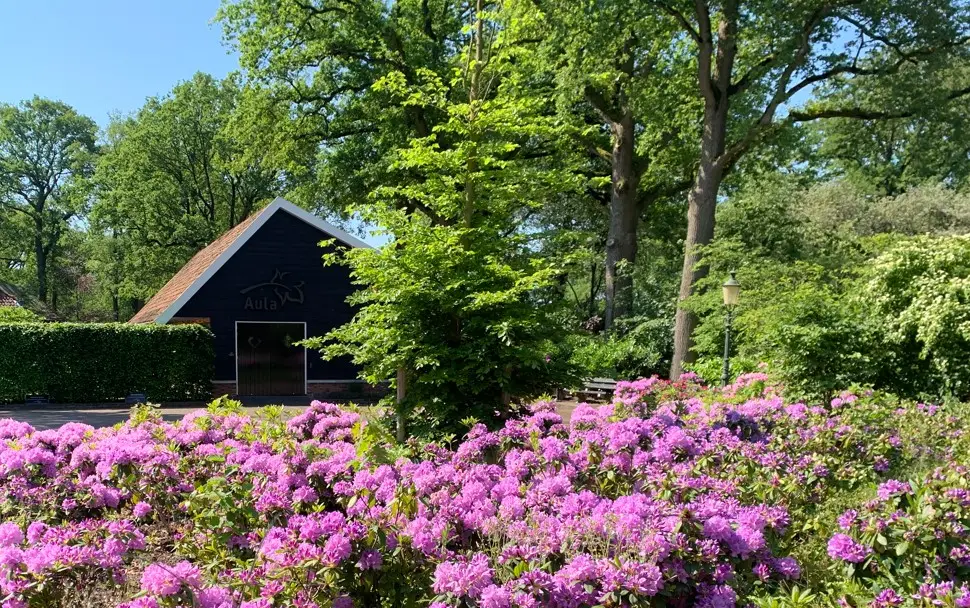 Foto van Weeink Uitvaartzorg