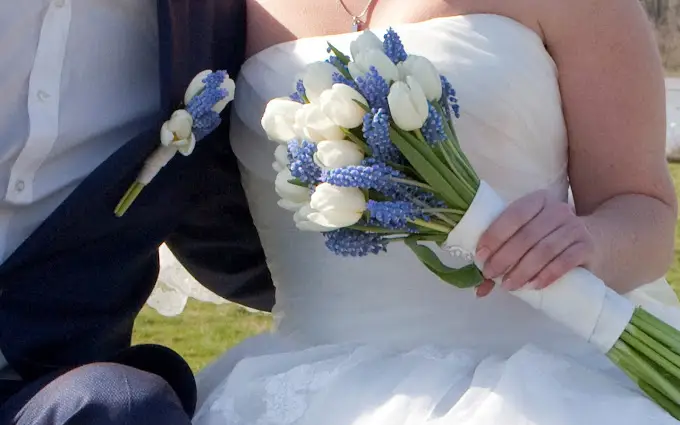 Foto van Carla Dellemann Speciaal Bloemwerk