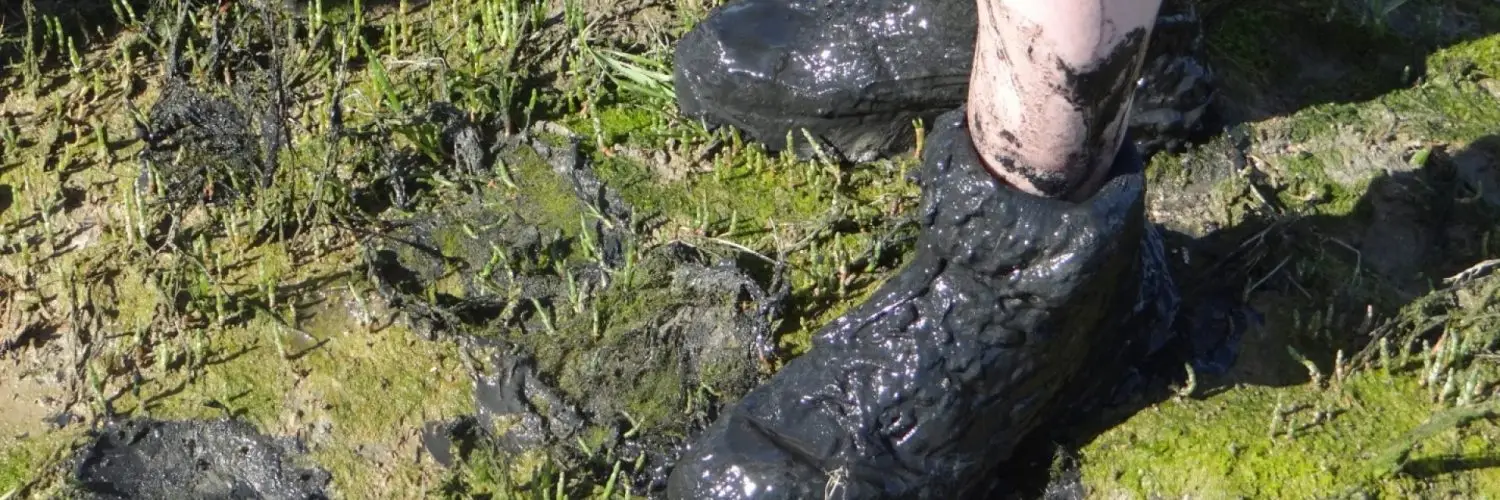 Yvette Vlaar Fotografie in Benningbroek