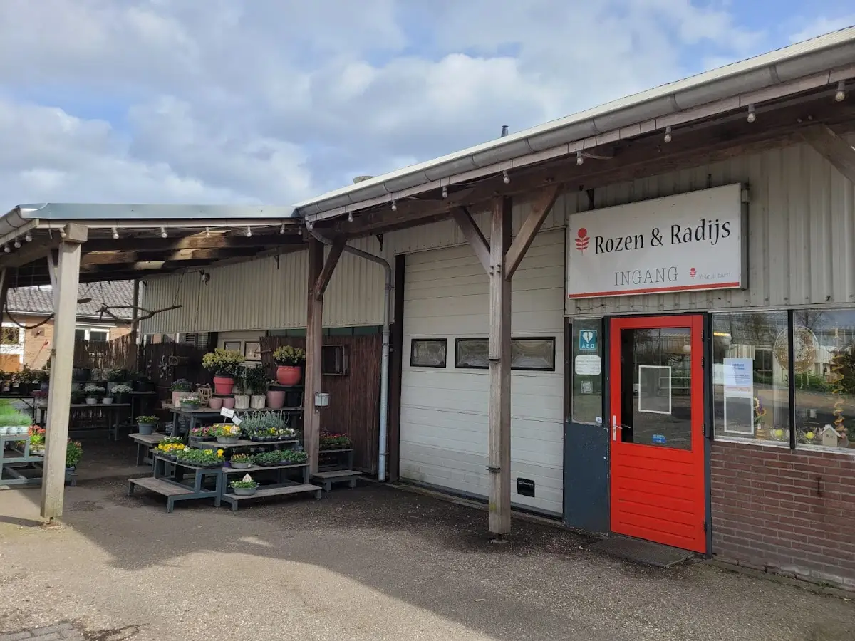 Roses & Radish in Burgerveen