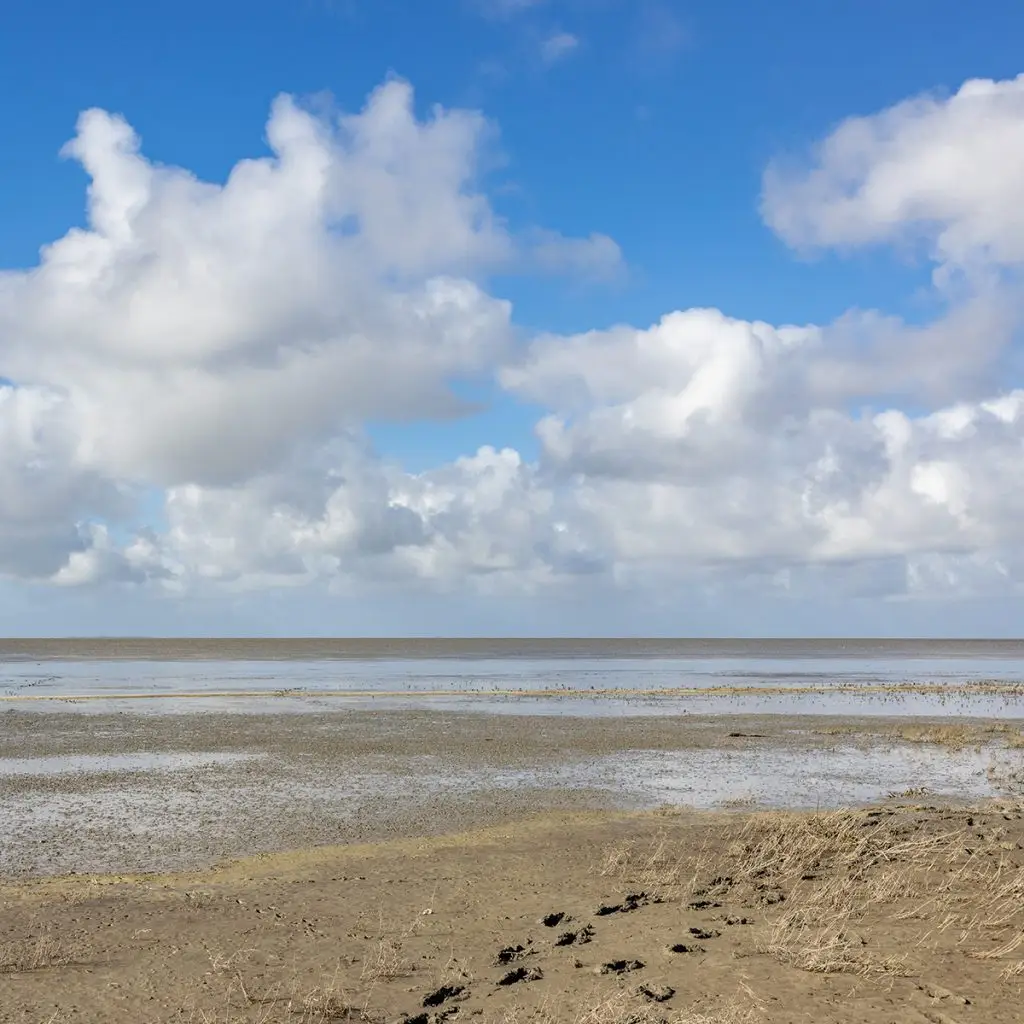 Foto van Hams Uitvaartverzorging