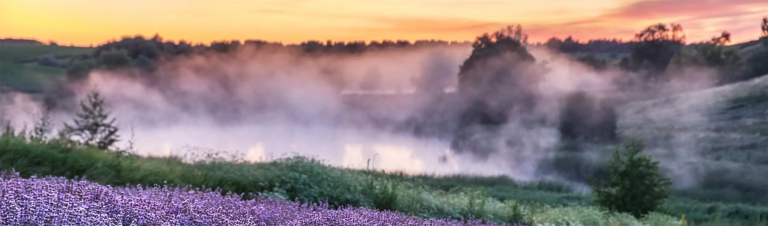 Foto van Uitvaartzorg Noord-Veluwe