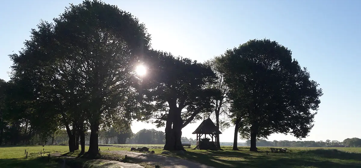 Foto van Annerie Kremer Uitvaartzorg