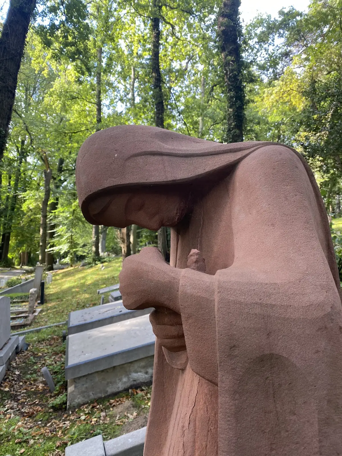 Westerveld in Driehuis