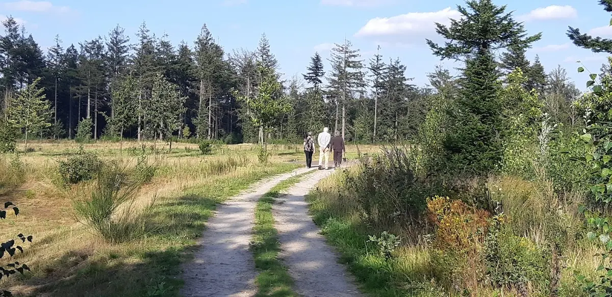 Anita van Overveld Uitvaartverzorging in Valkenswaard